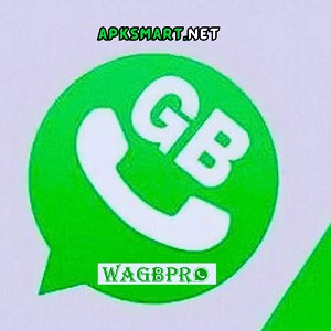 WaGbPro