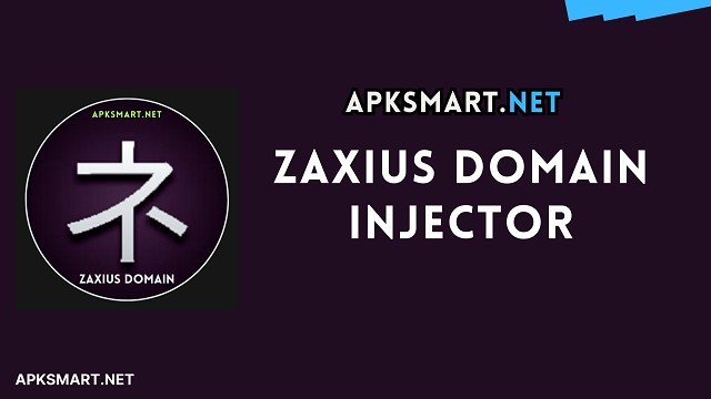 Zaxius Domain Injector