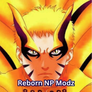 Reborn NP Modz